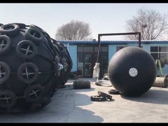 Δείκτης προφυλάκων STS