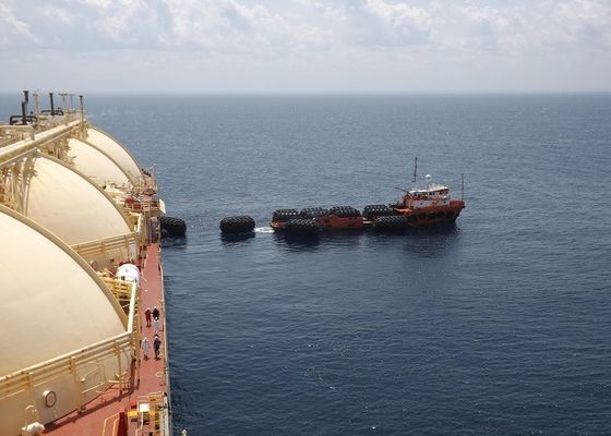 Ποιότητα Φτερό θήκης ελαστικού ISO Standard εργοστάσιο