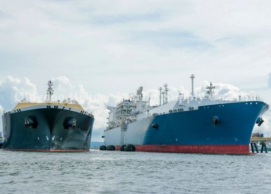 Ποιότητα Ένδυση πιστοποίησης CCS - ανθεκτικό πνευματικό θαλάσσιο κιγκλίδωμα με το λαστιχένιο σωλήνα εργοστάσιο