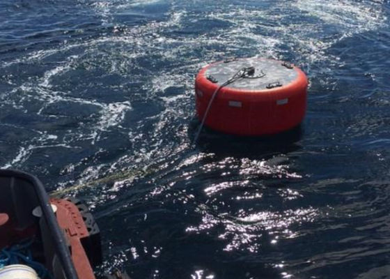 Ποιότητα Θαλάσσιο υλικό πολυαιθυλένιου της EVA σημαντήρων πρόσδεσης σκαφών με τη υψηλή επίδοση εργοστάσιο