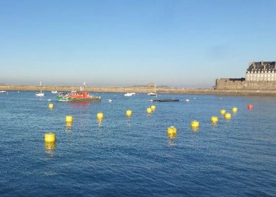 Ποιότητα Ισχυρή καιρικής σταθερότητας θαλάσσια πρόσδεσης ικανότητα φόρτωσης σημαντήρων υψηλότερη για την επιπλέουσα πλατφόρμα εργοστάσιο