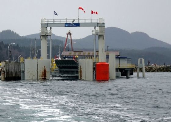 Ποιότητα Γεμισμένο υλικό της EVA κιγκλιδωμάτων της EVA αφρός για την προστασία βαρκών εργοστάσιο