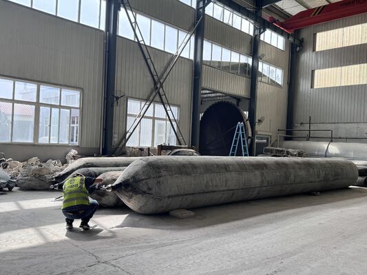 Ποιότητα Anti Corrosion Marine Rubber Airbag for Long Term Saltwater Service with 0.8-3 M Diameter εργοστάσιο