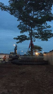 Ποιότητα Θαλάσσιο λαστιχένιο σκάφος προώθησης ξηρών αποβαθρών αερόσακων προώθησης σκαφών ανυψωτικό εργοστάσιο