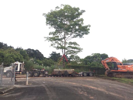 Ποιότητα Θαλάσσιο λαστιχένιο σκάφος προώθησης ξηρών αποβαθρών αερόσακων προώθησης σκαφών ανυψωτικό εργοστάσιο