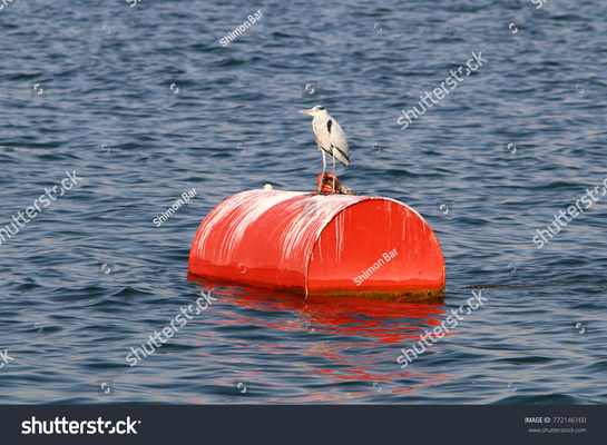 Ποιότητα Χάλυβα ενιαίος βαρκών επιπλέων αφρός σημαντήρων πρόσδεσης πλεονάσματος θαλάσσιος που γεμίζουν πολυσύνθετος εργοστάσιο