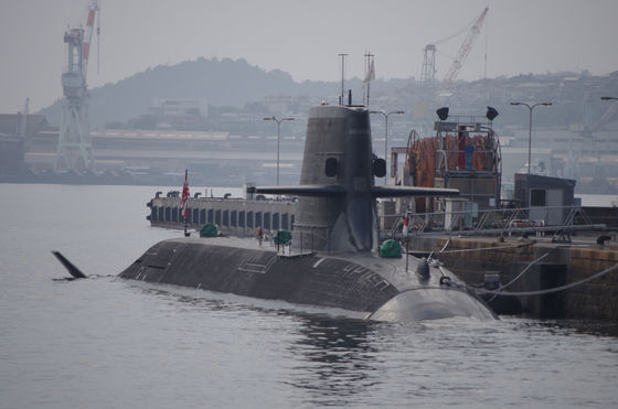 Ποιότητα Επαγγελματικά υποβρύχια κιγκλιδώματα ISO 17327 STS φυσικό λάστιχο εργοστάσιο